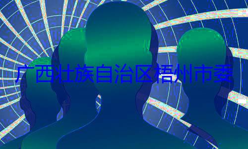 被查治区梧州市委副书记广西壮族自市长李振品